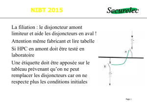 NIBT 2015 - Securelec