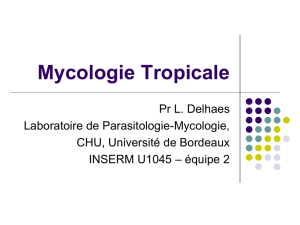 Mycologie Tropicale