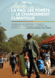 La FAO, les forêts et le changement climatique