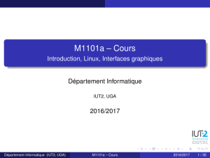 M1101a – Cours - IUT2 Informatique
