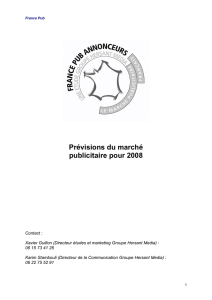 France Pub Annonceurs Prévisions du marché 2008