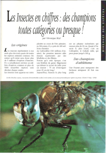 Les insectes champions / Insectes n° 103