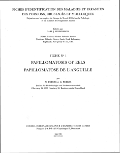 papillomatosis of eels papillomatose de l`anguille