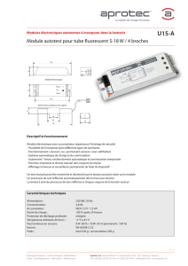 Module autotest pour tube fluorescent 5-18 W / 4 broches