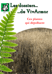 Dossier Nature (Ces plantes qui dépolluent) 124:RE n° 124.qxd.qxd