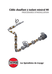 Câble chauffant à isolant minéral MI