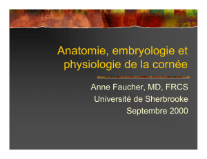 Anatomie, embryologie et physiologie de la cornée