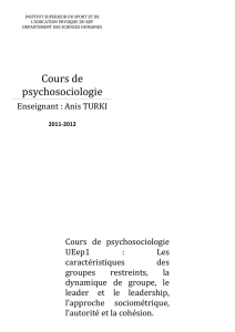 Cours de psychosociologie