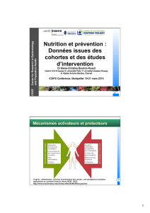 Nutrition et prévention : Données issues des cohortes et des études