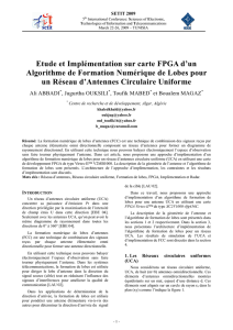 Etude et Implémentation sur carte FPGA d`un Algorithme de