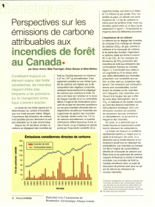 Perspectives sur les emissions de carbone attribuables aux iC1/4