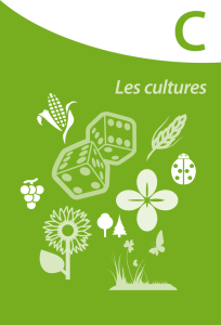 Projet Climator : Livre vert