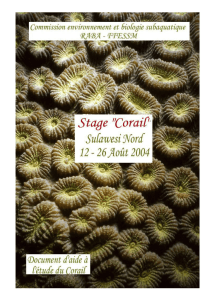 Le rapport du stage Corail 2004