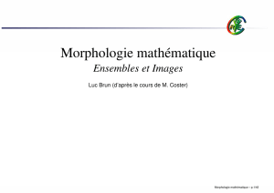 Morphologie mathématique