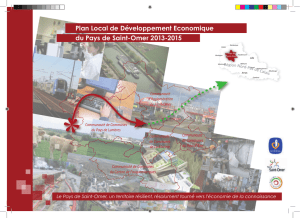 Plan Local de Développement Economique du Pays de Saint