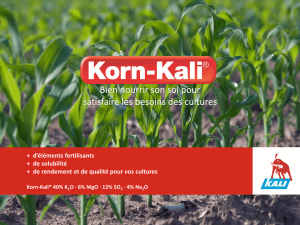 K+S KALI France