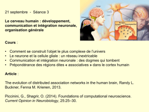 S&eacute;ance 3 (21 septembre) : Le cerveau humain : d&eacute;veloppement