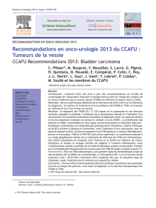 Recommandations en onco-urologie 2013 du CCAFU
