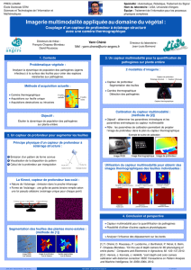 Imagerie multimodalité appliquée au domaine du végétal :