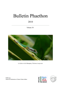 Bulletin Phaethon
