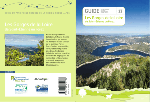 Les gorges de la Loire - cen rhone