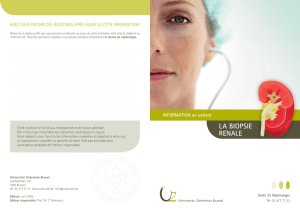 La biopsie rénale - UZ Brussel: Patientinfo