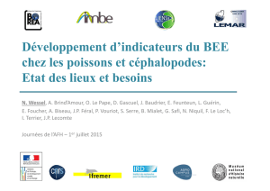 Développement d`indicateurs du BEE chez les poissons et céphalopodes