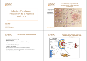 Initiation, Fonction et Régulation de la réponse anticorps