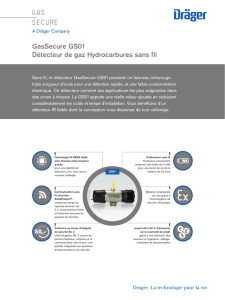 GasSecure GS01 Détecteur de gaz Hydrocarbures sans fil