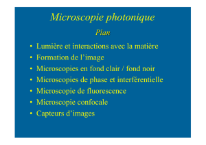 Microscopie photonique - Site d`Olivier Sigwarth