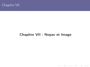 Chapitre VII Chapitre VII : Noyau et Image