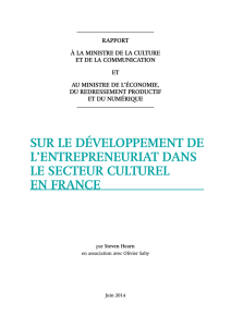 rapport sur le développement de l