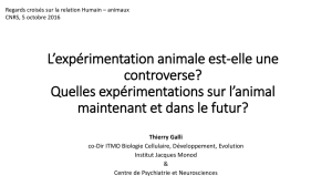L`expérimentation animale est-elle une controverse?