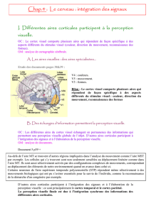 Chap.4 : Le cerveau : intégration des signaux - SOS-SVT