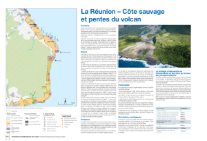 La Réunion – Côte sauvage et pentes du volcan