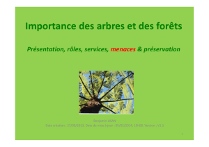 Importance des arbres et des forêts