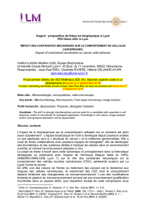 Urgent : proposition de thèse en biophysique à Lyon Impact of