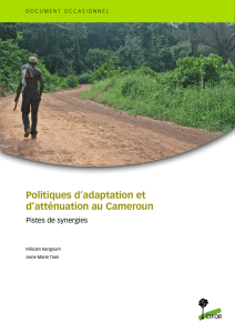 Politiques d`adaptation et d`atténuation au Cameroun