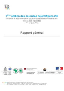 Rapport général des Journées Scientifiques 2013 - 2ie