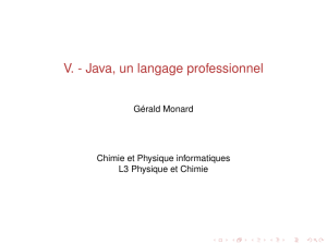 V. - Java, un langage professionnel