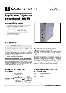 VM8 Amplificateur/régulateur proportionnel