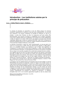 Introduction : Les institutions saisies par le principe de précaution