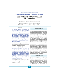 les tumeurs superficielles de la vessie