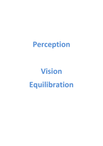 Perception Vision Equilibration