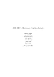BCI - TPSP - Électronique Numérique Intégrée