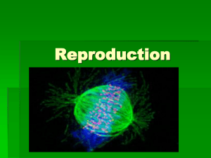 La repoduction - 5.2 et 5.3 Les cellules et leurs origines