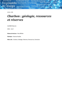 Charbon : géologie, ressources et réserves