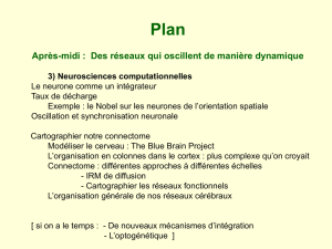 Neurosciences computationnelles