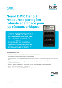 Nœud DMR Tier 3 à ressources partagées robuste et efficace pour
