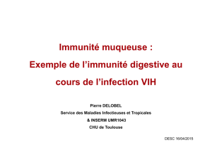 II. Physiopathologie au cours de l`infection VIH